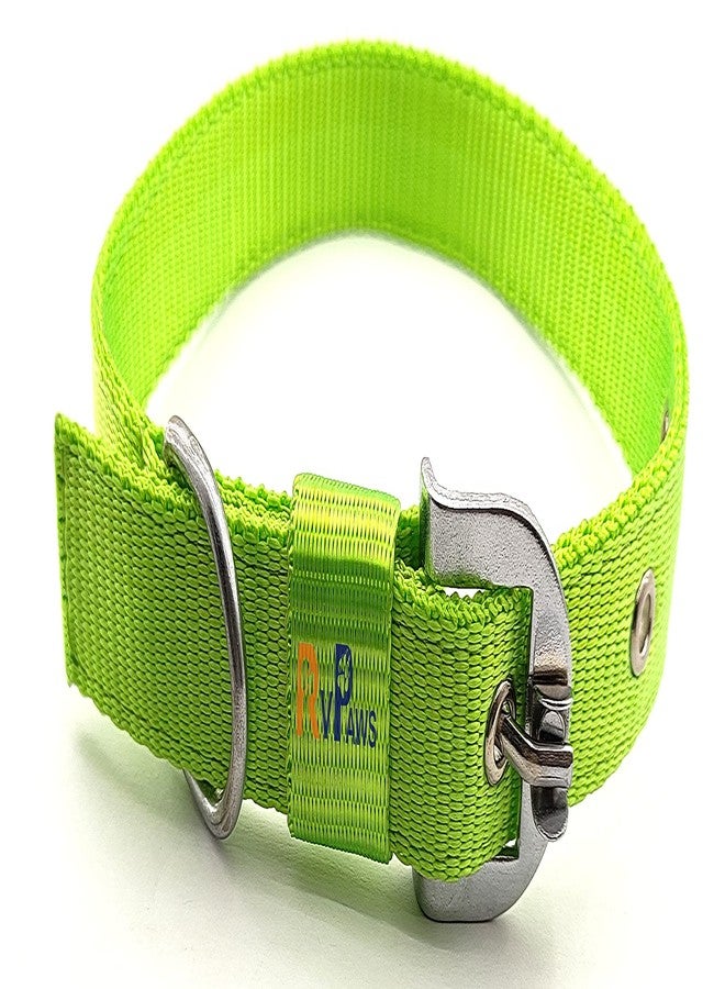 Pups&Pets Dog Belt Combo of 1 Inch Nylon Collar with Heavy Dog Chain 63 Inch Lengthy Dog Collar Chain (Large Size) - Parrot Green - Image 2